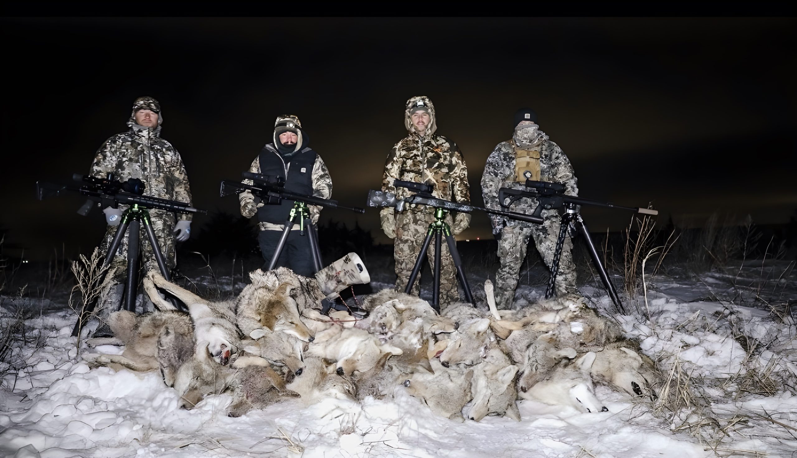 Group of hunters gathered together with a bundle of coyotes they shot during their night hunt.