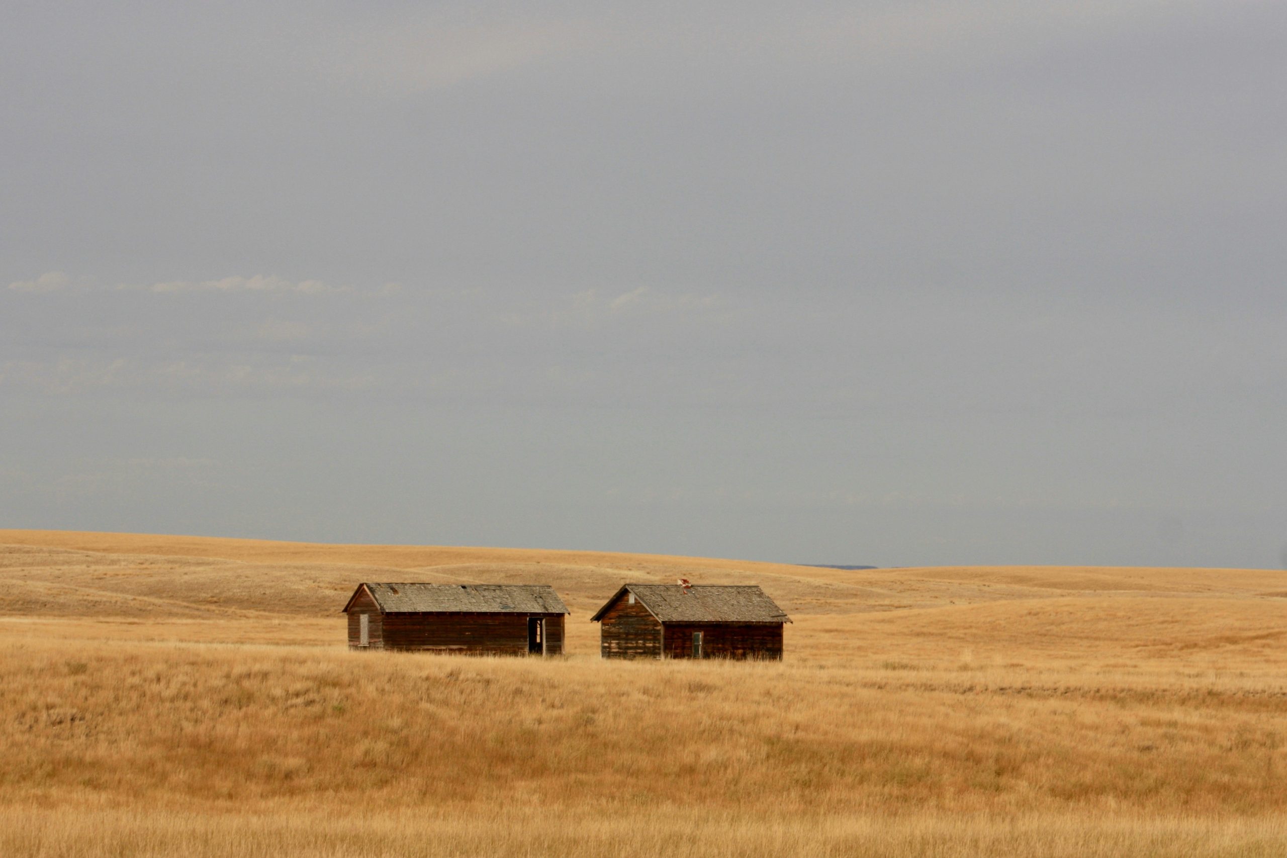 Two rustic wooden cabins in a vast field on the Kansas plains, representing a Kansas guided hunting lodge.